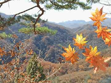 米非司酮片打胎药专卖微信欧股开盘集体走高 欧洲斯托克600指数涨超1%