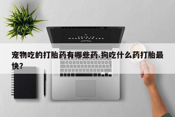 米非司酮片打胎药专卖微信宠物吃的打胎药有哪些药.狗吃什么药打胎最快？