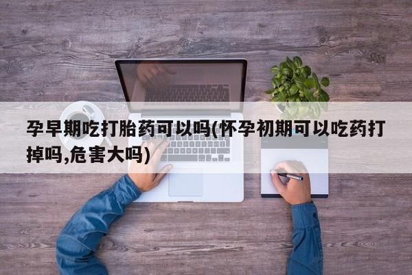 米非司酮片打胎药专卖微信孕早期吃打胎药可以吗(怀孕初期可以吃药打掉吗,危害大吗)