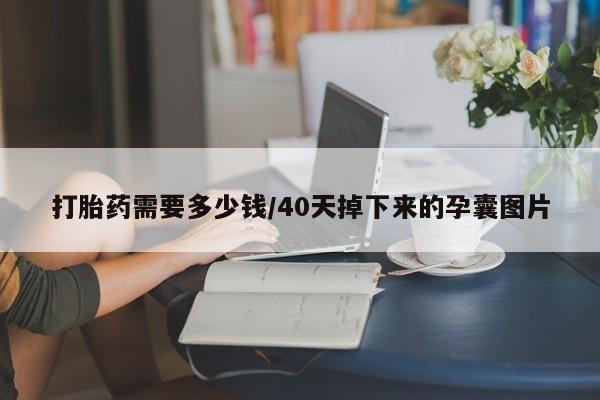 米非司酮片打胎药专卖微信打胎药需要多少钱/40天掉下来的孕囊图片