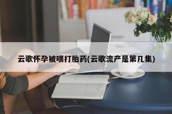 米非司酮片打胎药专卖微信云歌怀孕被喂打胎药(云歌流产是第几集)